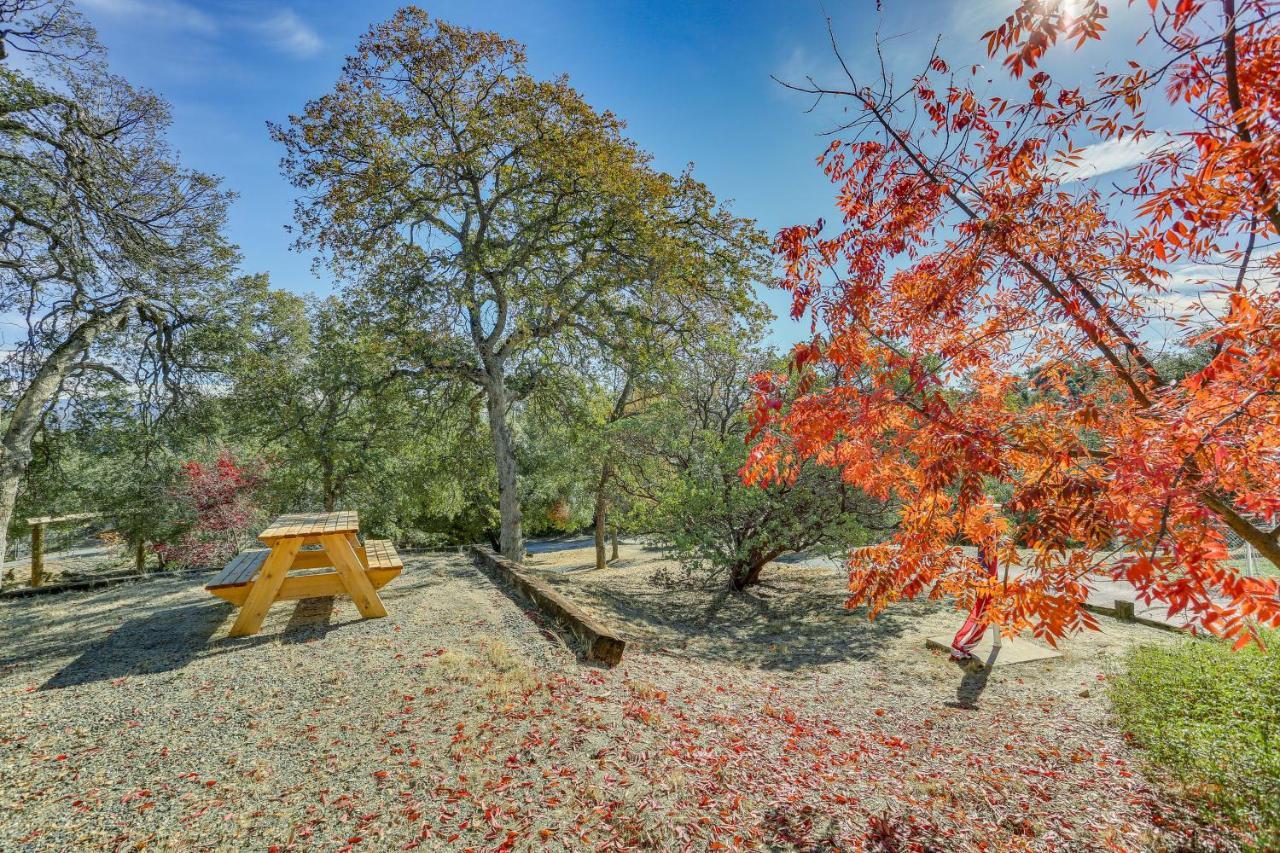 אהוואני Cozy Studio With Well-Being Retreat Near Yosemite! מראה חיצוני תמונה